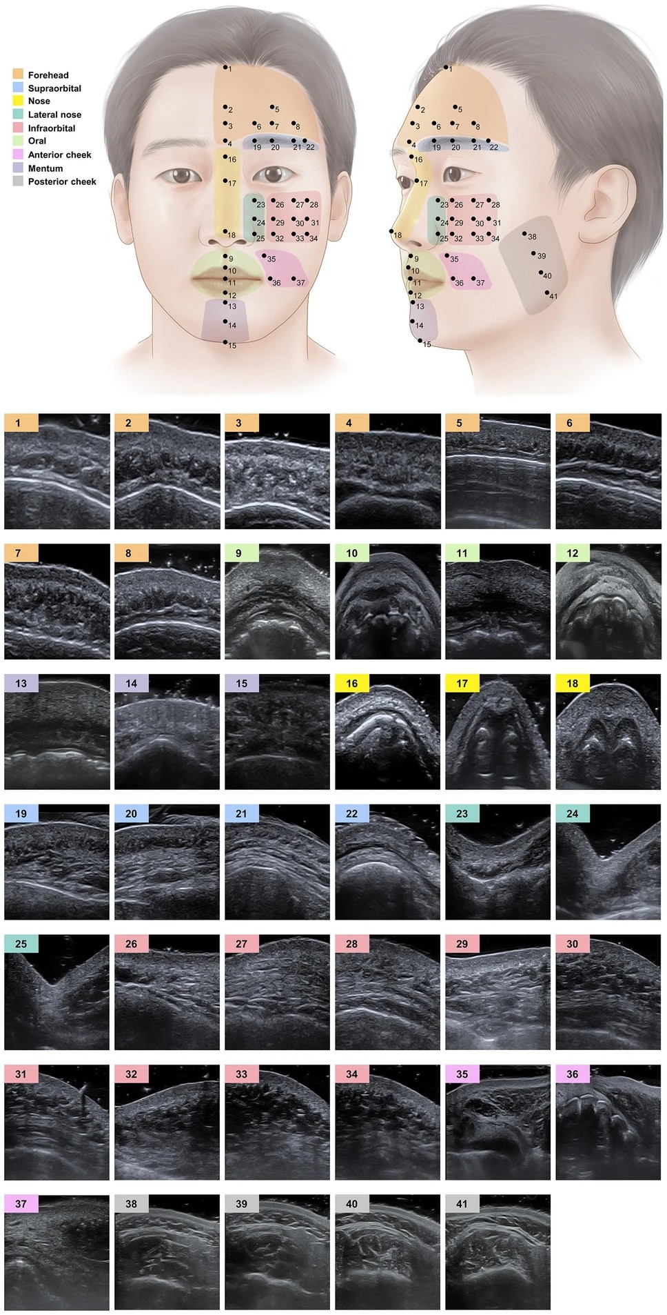 Project Image 5